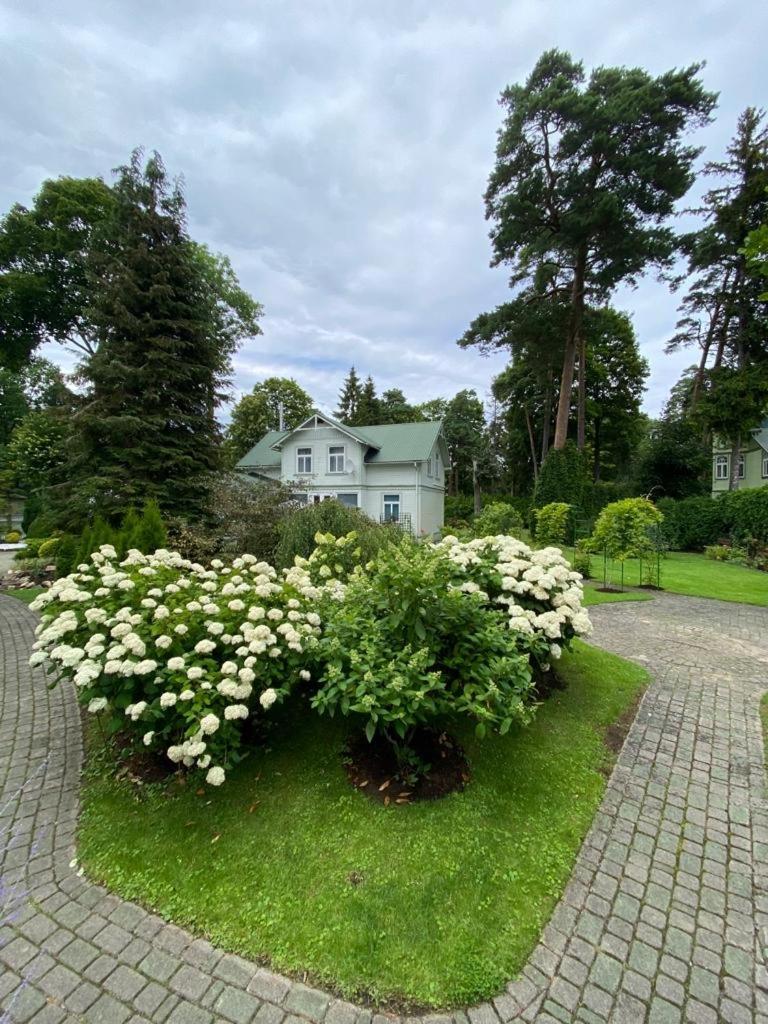 Jurmala Vacation House المظهر الخارجي الصورة